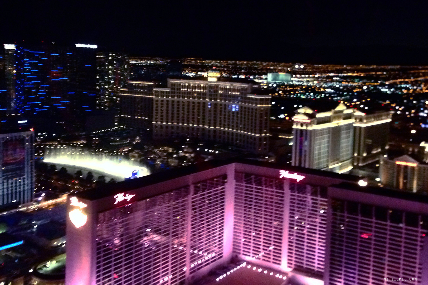 Las Vegas High Roller with open bar Las Vegas Blog Mitzie Mee