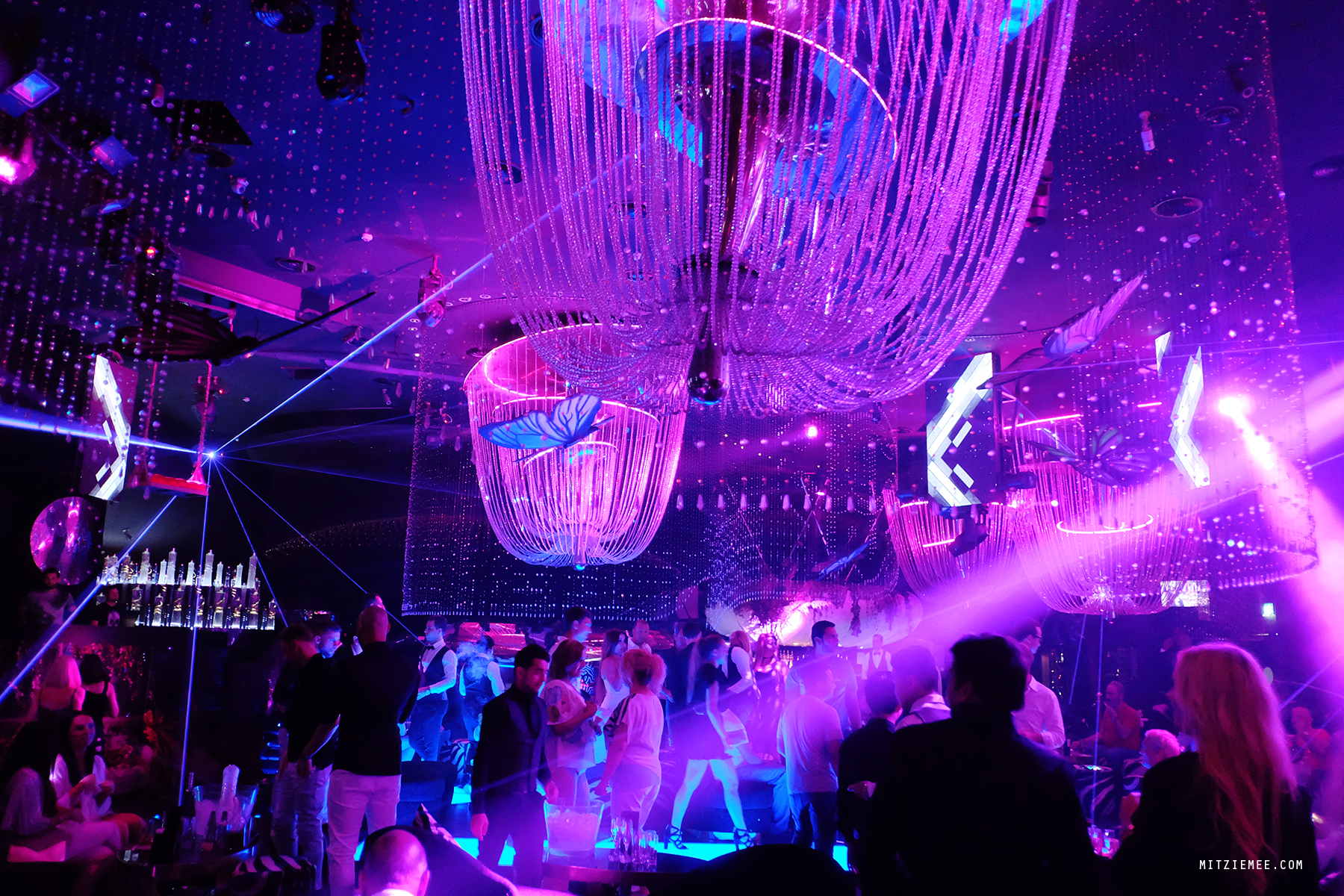 Cavalli Club, Dubai