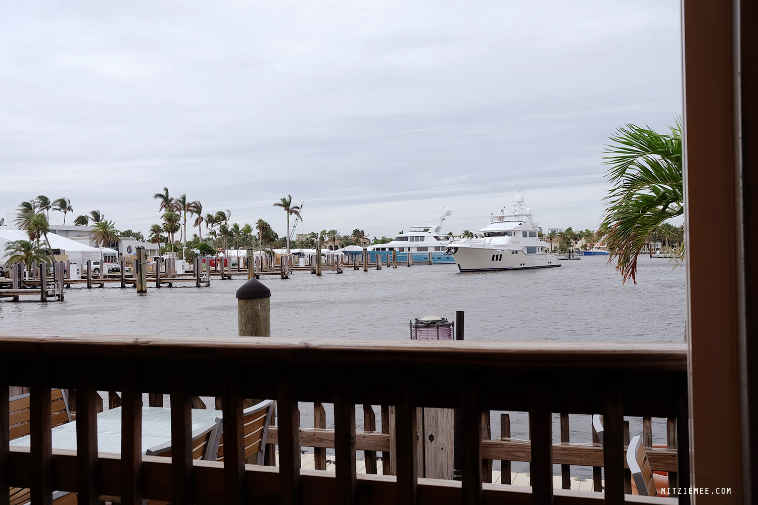 Scoobies at Coconuts Fort Lauderdale Restaurants Fort Lauderdale Blog