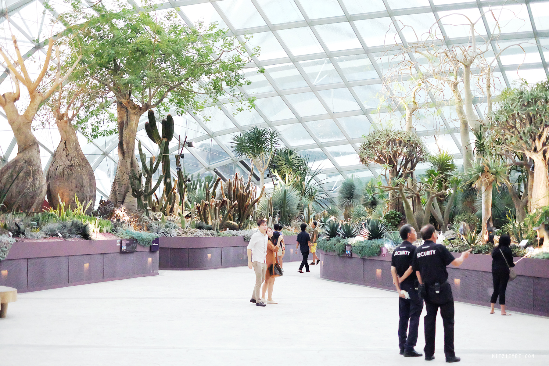 Flower Dome at Gardens by the Bay